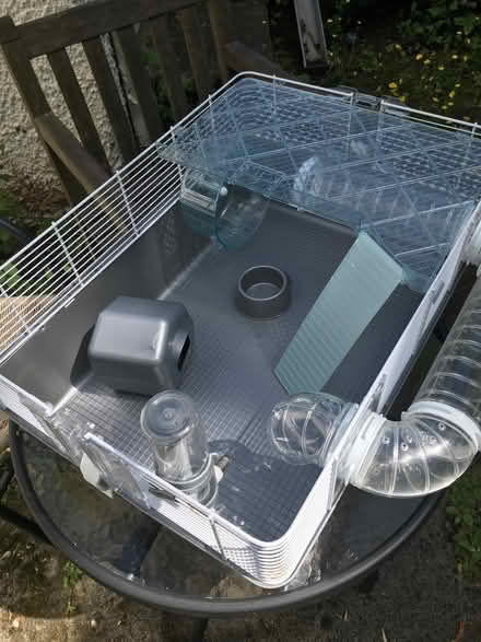 Photo of free Hamster cages (Arnside LA5) #4