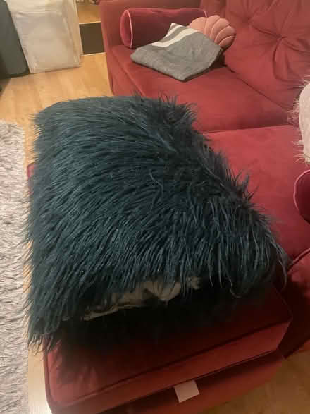 Photo of free Big fluffy cushion (N5 Highbury) #3