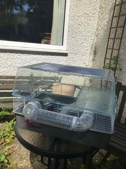 Photo of free Hamster cages (Arnside LA5) #3