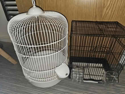 Photo of free Small Bird Cages (Brooklands, Milton Keynes MK10) #1