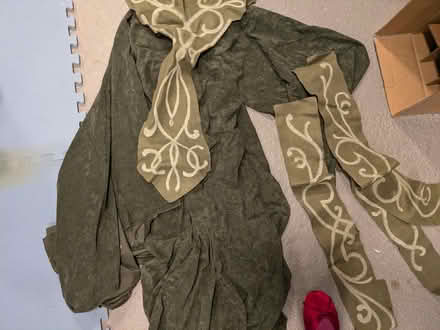 Photo of free 2 home made Halloween costumes (Chelsea) #2