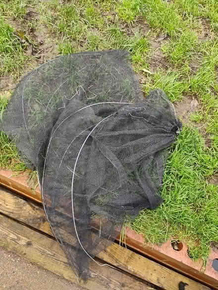 Photo of free Garden net (Dudbridge GL5) #1