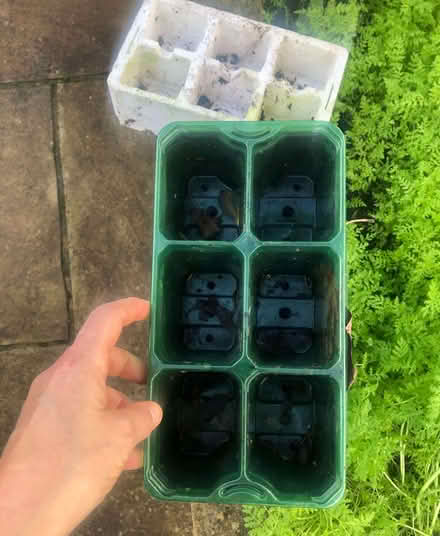 Photo of free Seedling pots (Purley CR8) #1