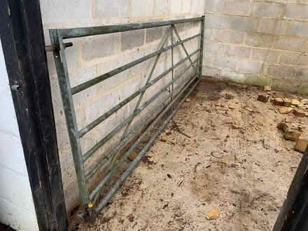 Photo of free Steel Gate (Southwater RH13) #1