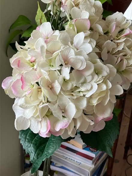 Photo of free Hydrangea stems (faux) (Leytonstone) #2