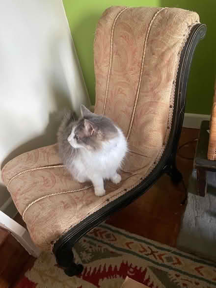Photo of free Victorian Nursing Chair (Buckland Dinham BA11) #3