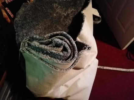 Photo of free Carpet (S5 Parsons Cross) #2