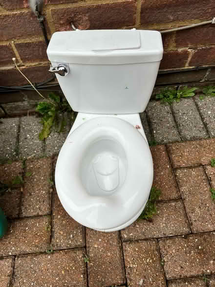 Photo of free Potty (Coulsdon) #2