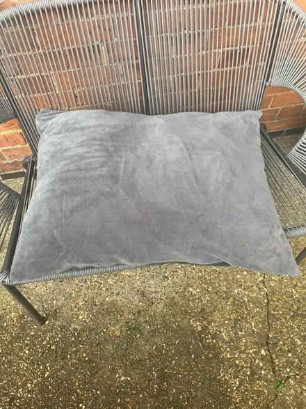 Photo of free Dog Bed - removable/ washable cover (Winkfield Row RG42) #1