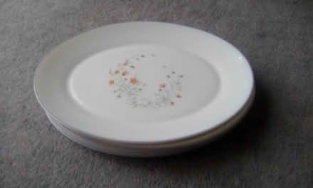 Photo of free pyrex plates (Waterlooville) #1