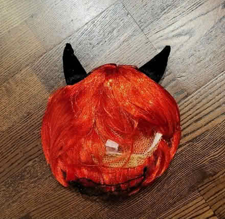 Photo of free Halloween costume (Heston UB2) #3