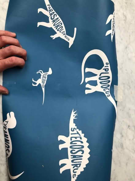 Photo of free Dinosaur wall paper (Enfield N13 6) #1