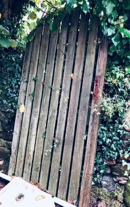 Photo of free Wooden garden gate (Calstock PL18) #1