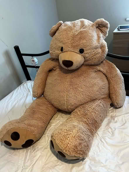 Photo of free Very large Teddy Bear (HA9) #1