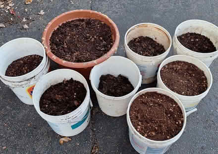 Photo of free compost (Davis/Teele Square area) #1