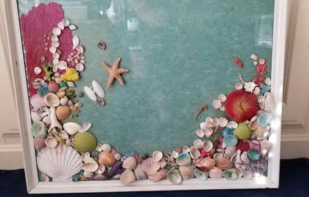 Photo of free Vintage Sea Shell Picture (South Stafford) #1