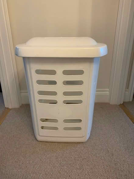 Photo of free Addis laundry basket (Five Ashes, Mayfield TN20) #1