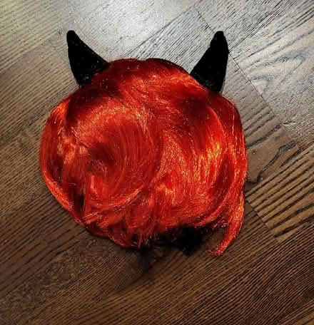 Photo of free Halloween costume (Heston UB2) #2