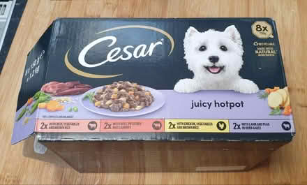 Photo of free Cesar and Earls Dog food (Abertridwr CF83) #2