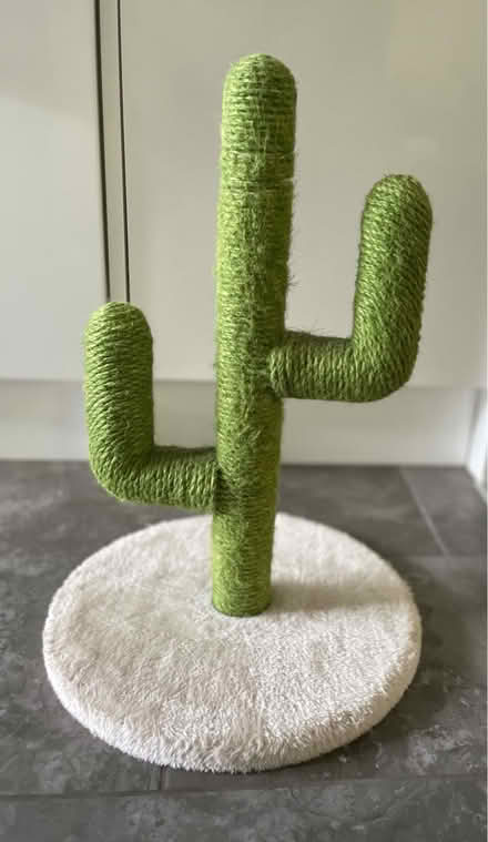 Photo of free Small cactus cat tree (Woking) #1