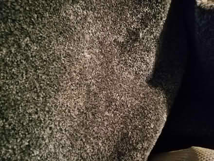 Photo of free Carpet (S5 Parsons Cross) #1