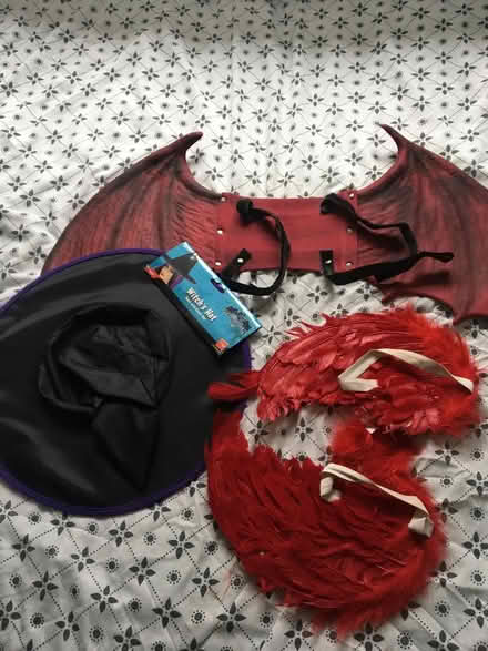 Photo of free Hallowe’en dress up items (Markfield) #1