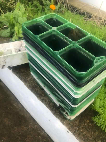 Photo of free Seedling pots (Purley CR8) #2