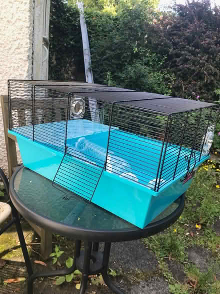 Photo of free Hamster cages (Arnside LA5) #1