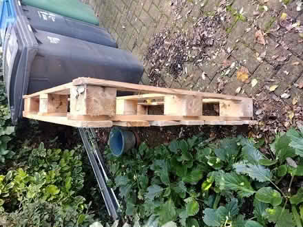 Photo of free Wooden pallet (New Malden KT3) #2