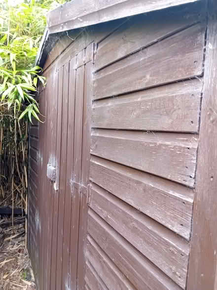Photo of free Wooden shed (Earlham NR4) #2