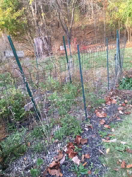 Photo of free Antique wire fencing plus gate (Cranberry Lake) #2