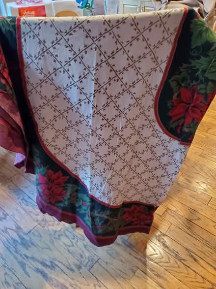 Photo of free Oval table cloths (Fremont, near downtown BART) #2