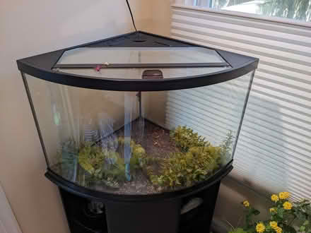 Photo of free Aquarium 50 gal & supplies (Pike and Rose, North Bethesda) #2