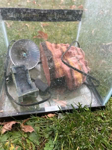 Photo of free Tank for small reptile or amphibian (Poughquag, NY) #2