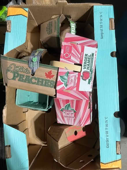 Photo of free Cardboard baskets for fruit/veggies (Crystal Beach) #1