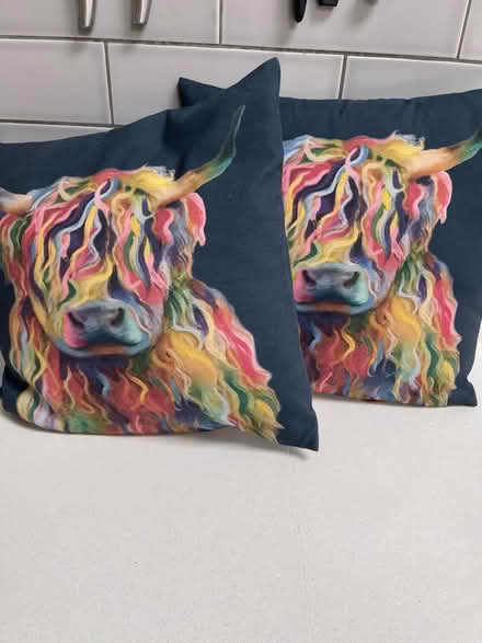 Photo of free 2 cushions (West Bridgford NG2) #1