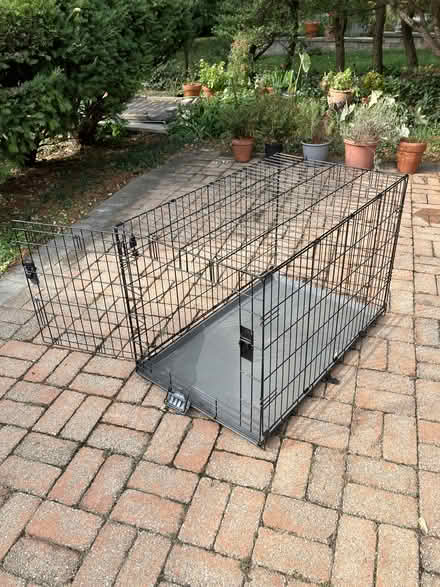 Photo of free Dog crate in Ardmore (Haverford Township) #1