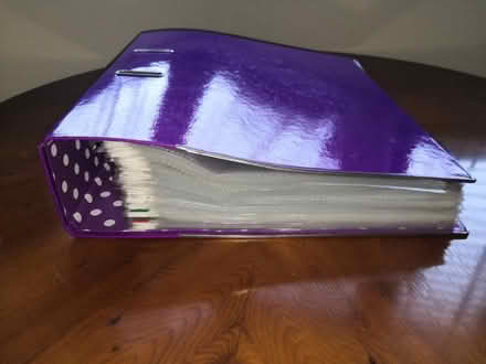 Photo of free A4 Folder with plastic wallets (Burnham) #2