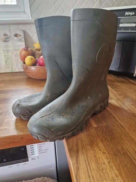 Photo of free Size 8 wellies (Fromefield BA11) #1