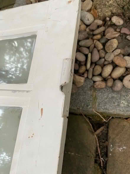 Photo of free French doors (Barnsbury N1) #3