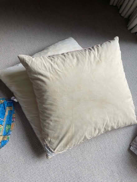 Photo of free 2 square down pillows (Shotover OX3) #1