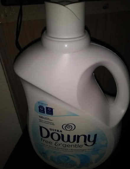 Photo of free Downy Free and Gentle (lower daly city) #1