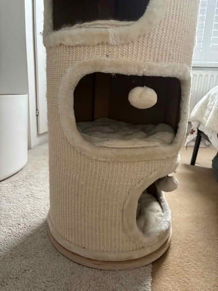 Photo of free cat tower (east molesey) #2