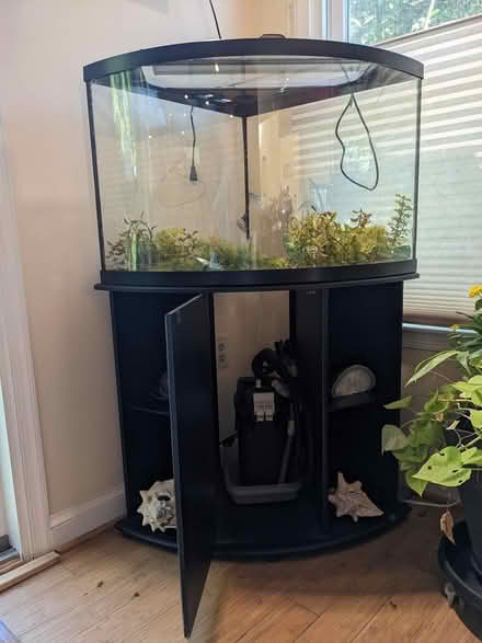 Photo of free Aquarium 50 gal & supplies (Pike and Rose, North Bethesda) #1