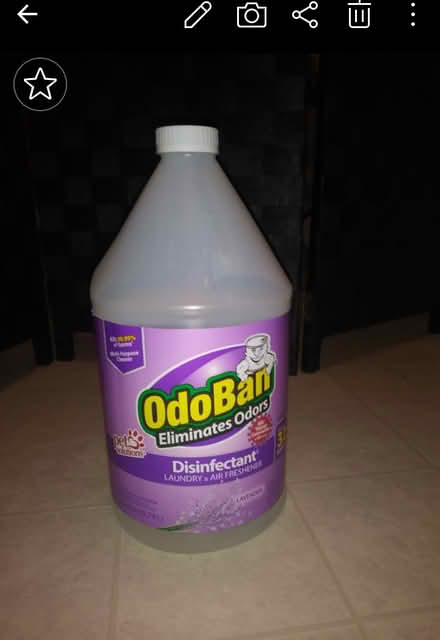 Photo of free Odoban Disinfectant Lavender (lower daly city) #1