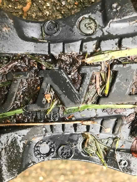 Photo of free Dunlop wellies size 9 (Chalfont St Giles) #3