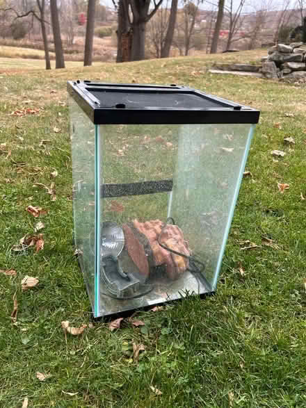 Photo of free Tank for small reptile or amphibian (Poughquag, NY) #1