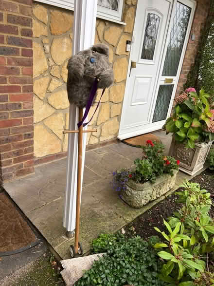 Photo of free Dobbin the hobby horse (Wheathampstead, St albans) #1
