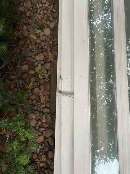 Photo of free French doors (Barnsbury N1) #4