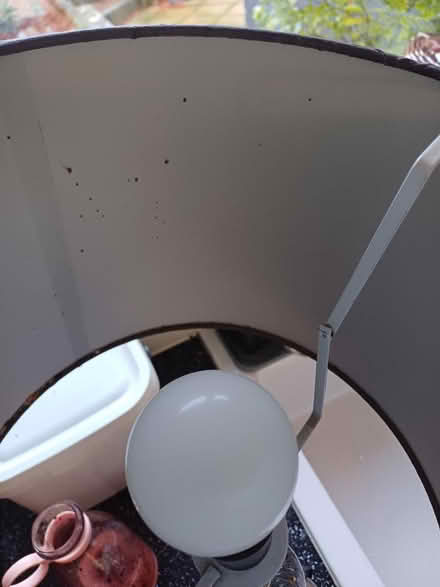 Photo of free Lamp with grey shade (LS16 Ireland wood) #2